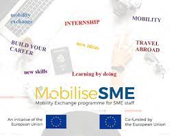 Prilika-za-usavršavanje-u-inozemstvu-kroz-sudjelovanje-u-MobiliseSME-programu